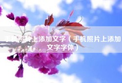 手机照片上添加文字（手机照片上添加文字字体）