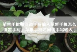 苹果手机如何调手写输入苹果手机怎么设置手写「苹果手机如何调手写输入」