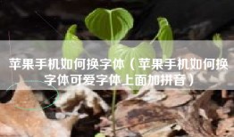 苹果手机如何换字体（苹果手机如何换字体可爱字体上面加拼音）