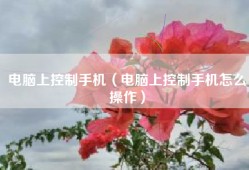 电脑上控制手机（电脑上控制手机怎么操作）