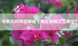 手机如何绑定邮箱（绑定邮箱怎么绑定？）