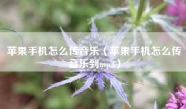 苹果手机怎么传音乐（苹果手机怎么传音乐到mp3）