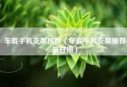 车载手机支架推荐（车载手机支架推荐最好用）