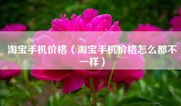 淘宝手机价格（淘宝手机价格怎么都不一样）