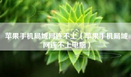 苹果手机局域网连不上（苹果手机局域网连不上电脑）