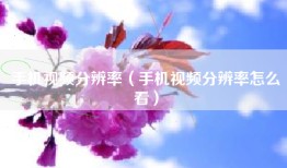 手机视频分辨率（手机视频分辨率怎么看）