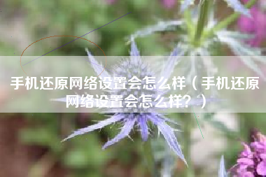 手机还原网络设置会怎么样（手机还原网络设置会怎么样？）