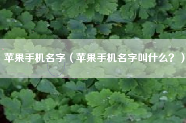 苹果手机名字（苹果手机名字叫什么？）